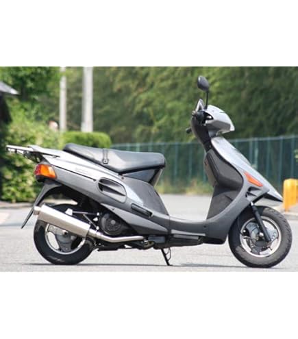 Amazon | Realize (リアライズ) スズキ ヴェクスター125